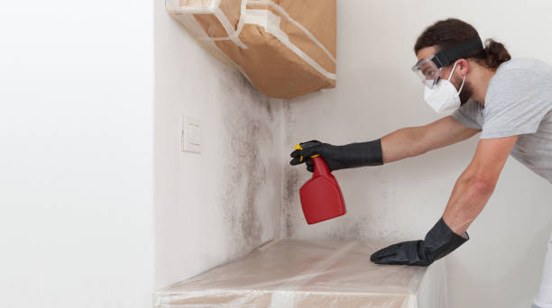 Professional Bathroom Mold Removal technician working in Newton, MA
