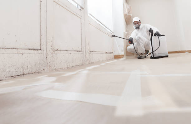 24/7 Emergency Bathroom Mold Removal experts in Newton, MA