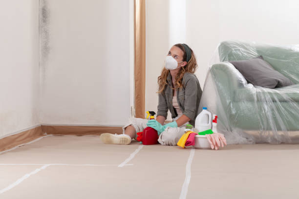 Reliable Bathroom Mold Removal contractor in Newton, MA by Mold Remediation HQ